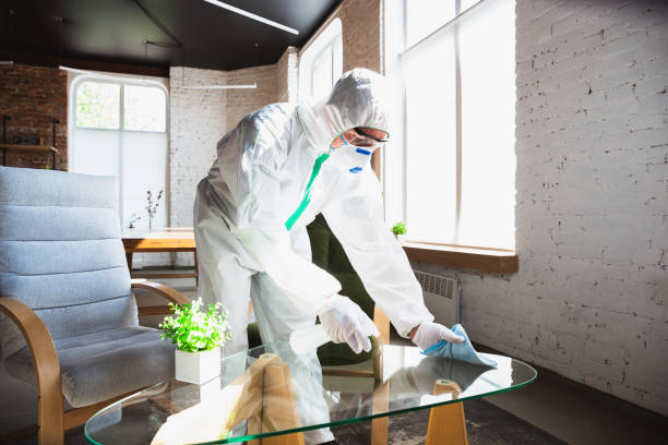 Reliable Millstadt, IL Mold Removal Services Solutions